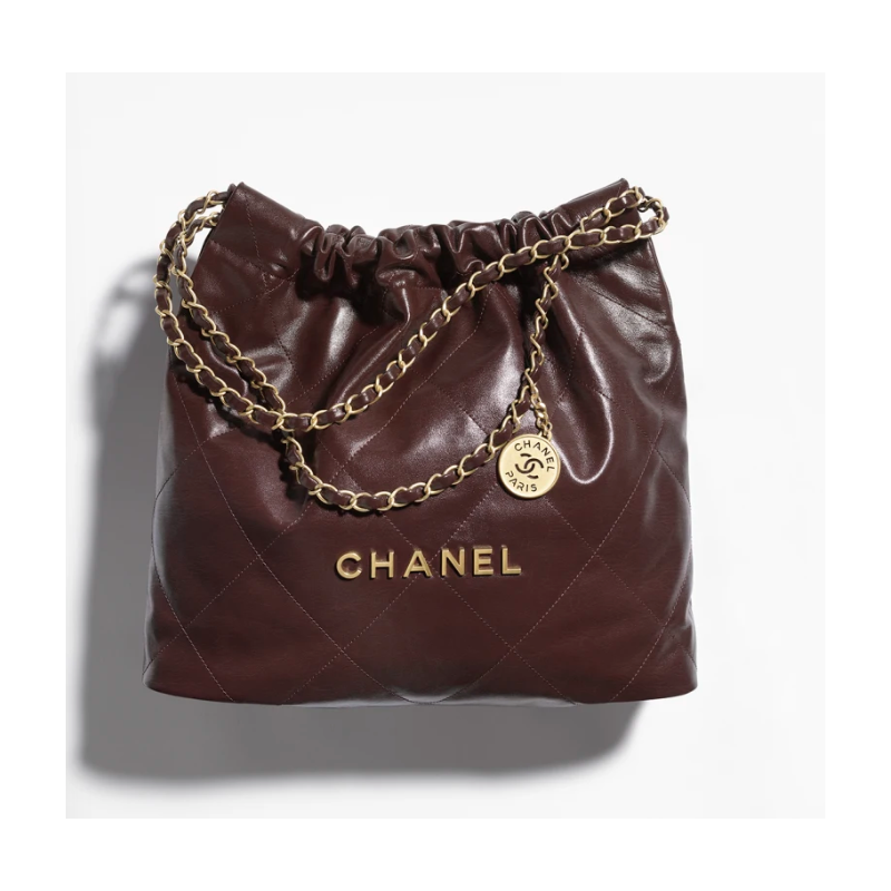 Chanel 22 Medium Handbag-Dark brown 