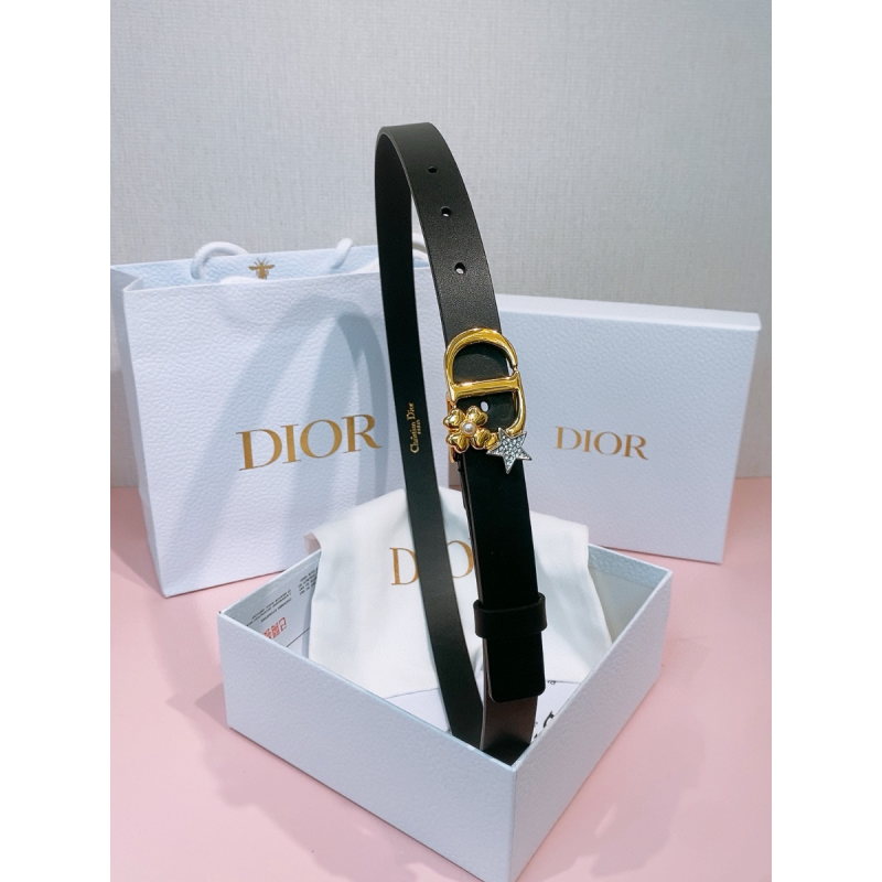 Dior Ledergürtel 2.0cm