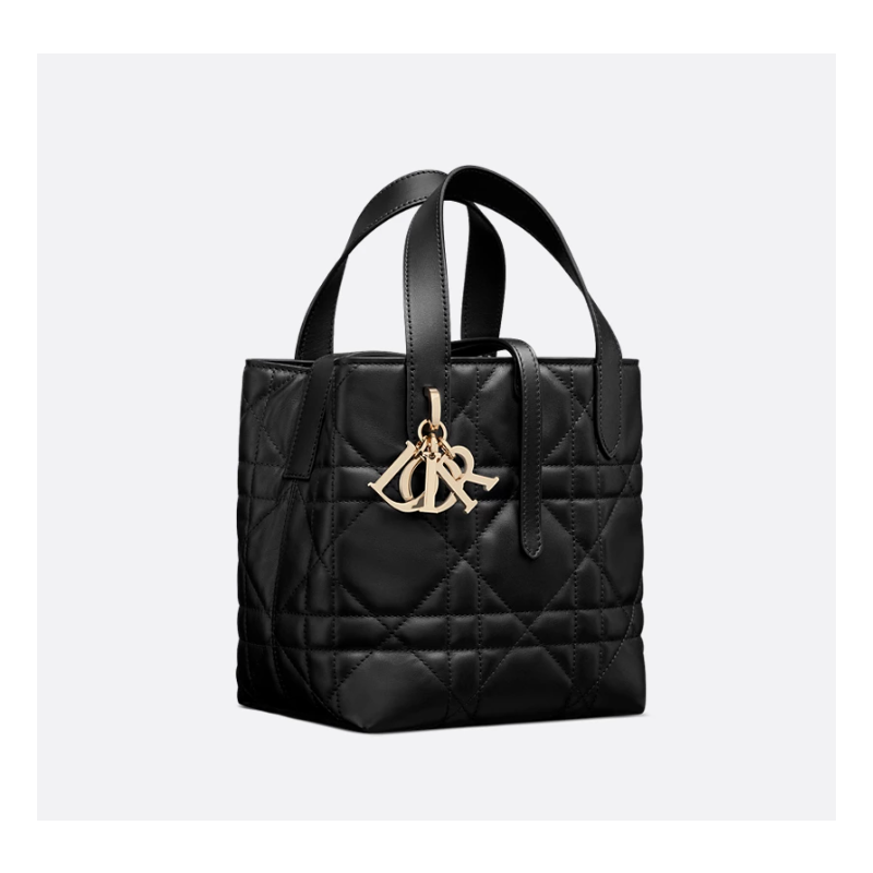 Small Dior Toujours Vertical Tote Bag-Black