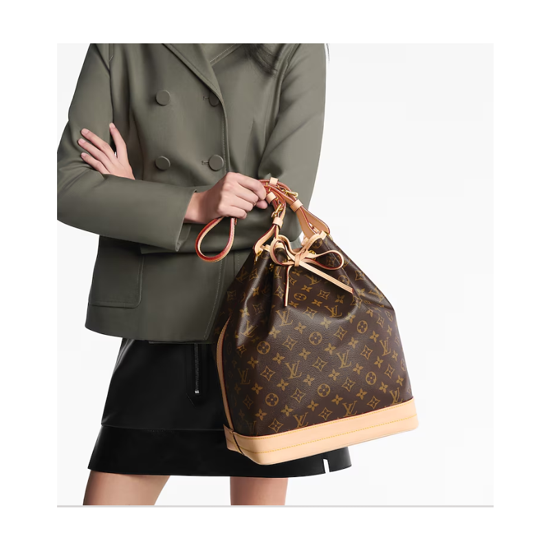 M46976 Noe Monogram Canvas Handtasche